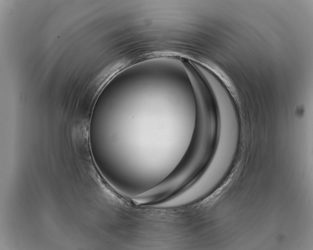 X0000090610809200707241105