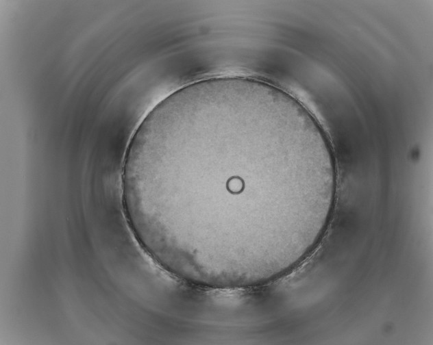 X0000090610810200707241105