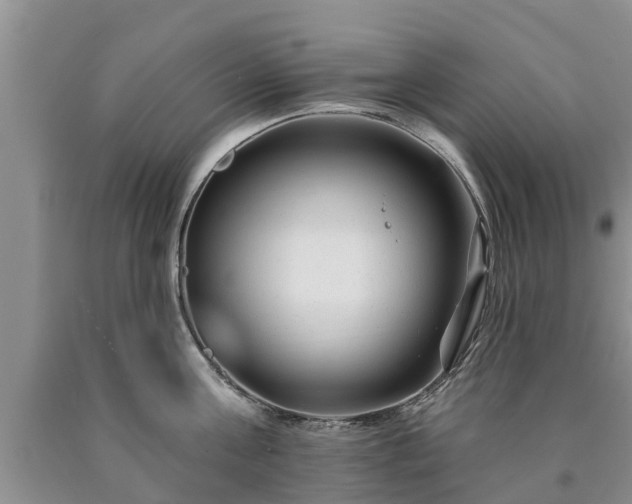 X0000090610811200707241105