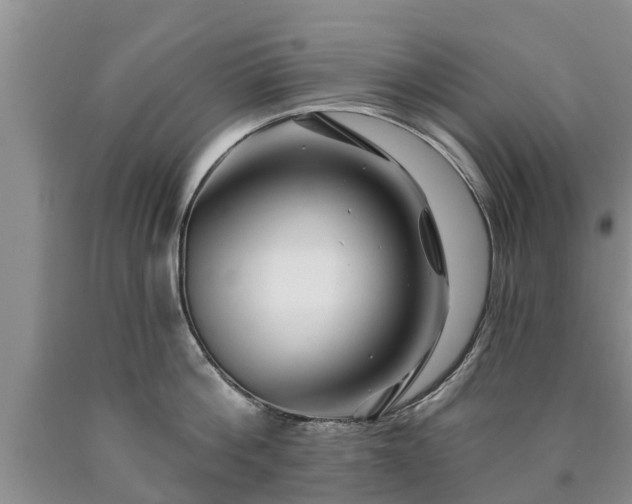 X0000090610812200707241105