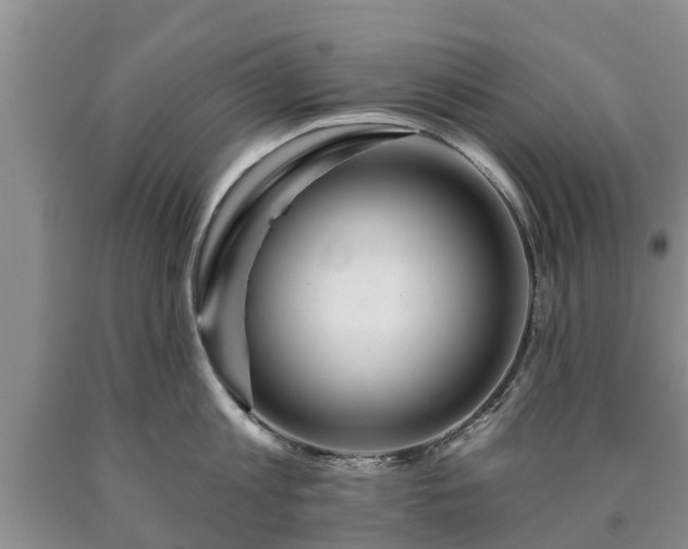 X0000090610813200707241105