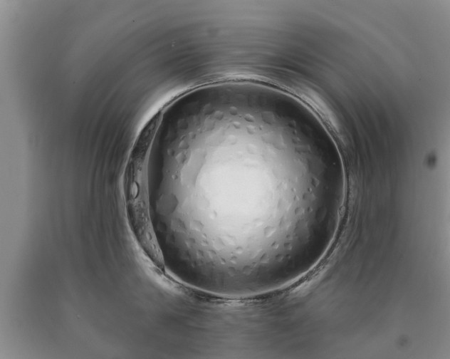 X0000090610814200707241105