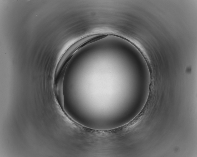 X0000090610815200707241105