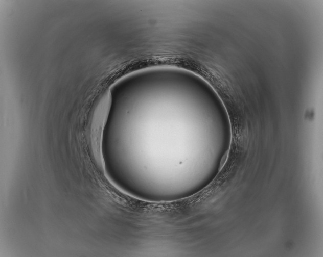 X0000090610817200707241104