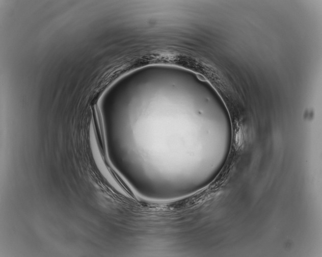 X0000090610819200707241104