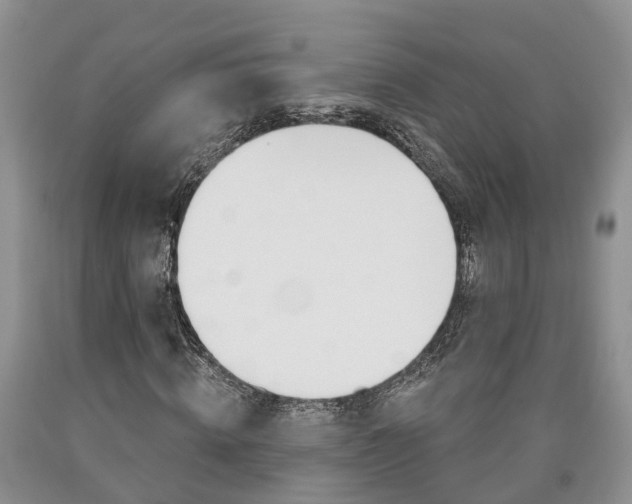 X0000090610820200707241104