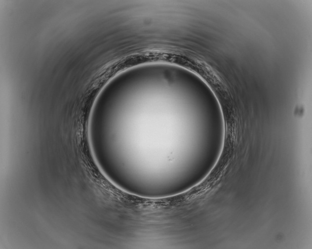 X0000090610821200707241104