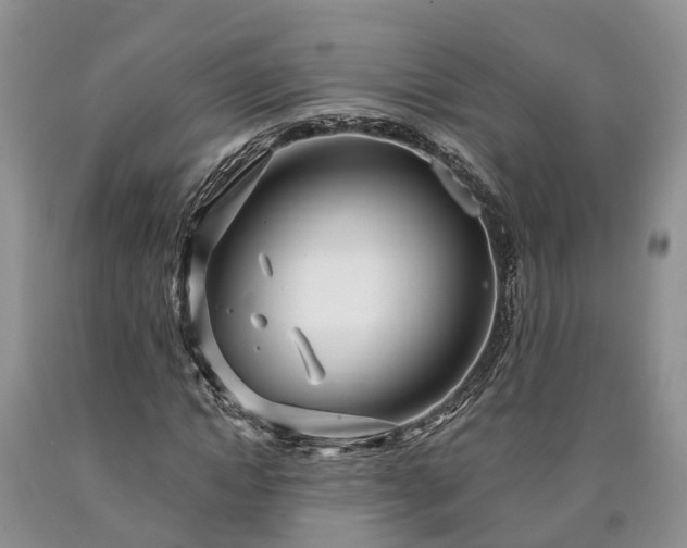 X0000090610822200707241104