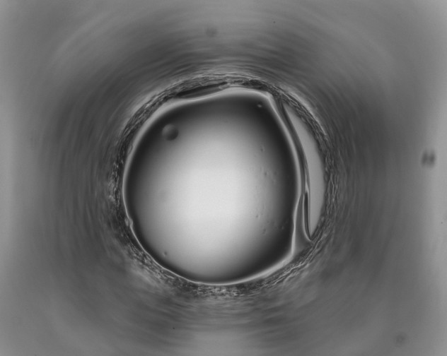 X0000090610823200707241104