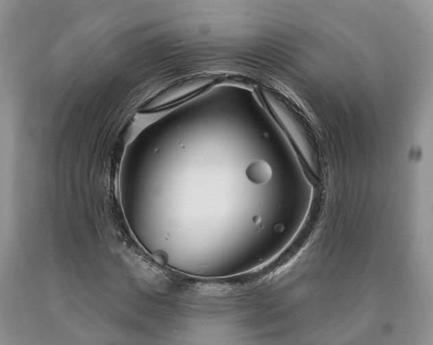 X0000090610825200707241104