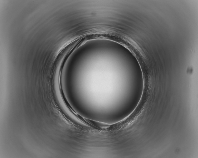 X0000090610826200707241105