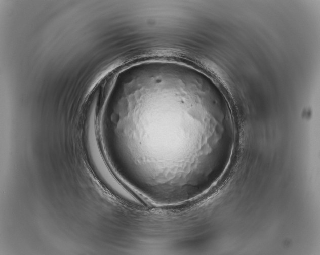 X0000090610827200707241105