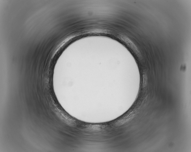 X0000090610828200707241105