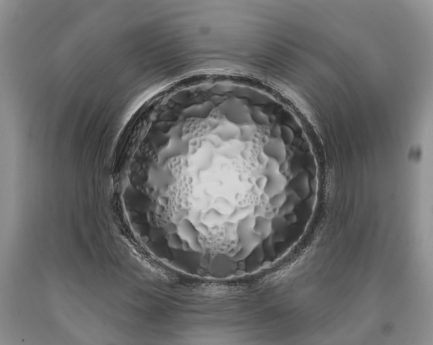 X0000090610829200707241105