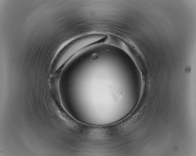 X0000090610830200707241105