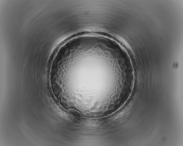 X0000090610831200707241105