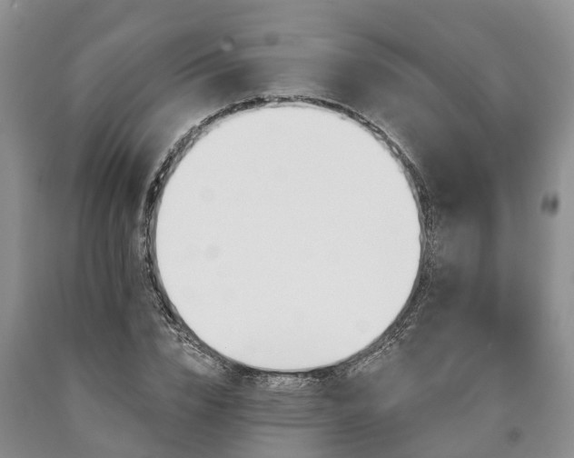 X0000090610832200707241105