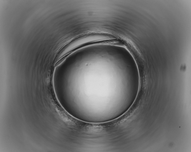 X0000090610833200707241105