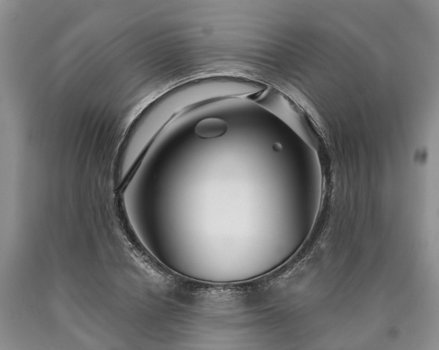 X0000090610834200707241105