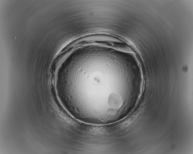 X0000090610835200707241105