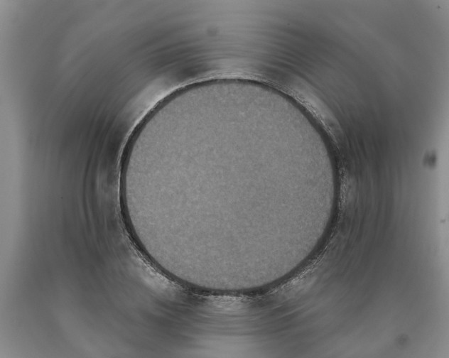 X0000090610836200707241105