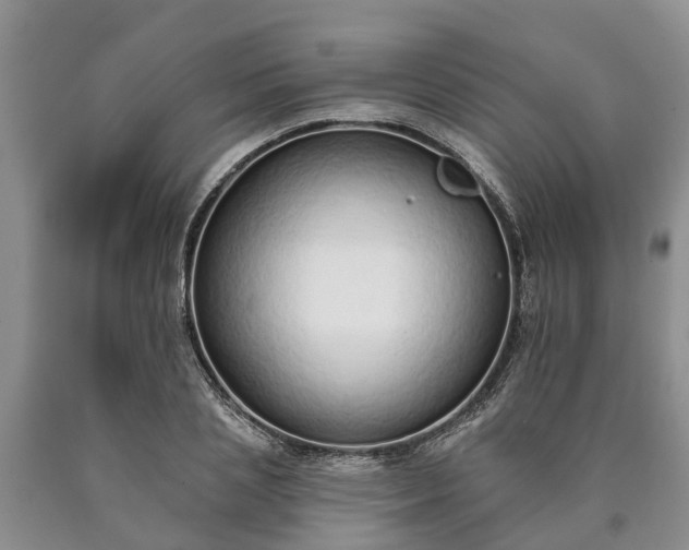 X0000090610837200707241105