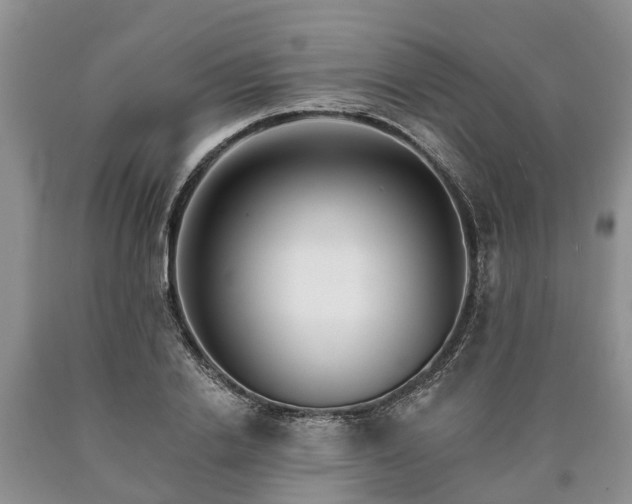 X0000090610838200707241105