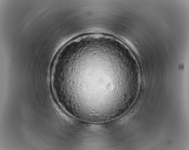 X0000090610839200707241105