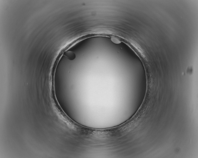 X0000090610840200707241105