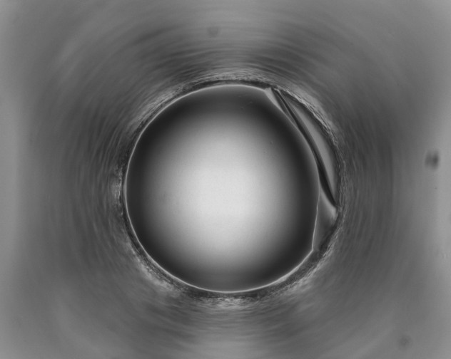 X0000090610841200707241105