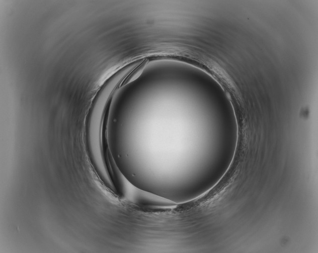 X0000090610842200707241105