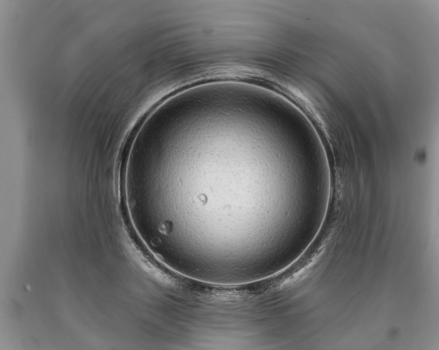 X0000090610843200707241105