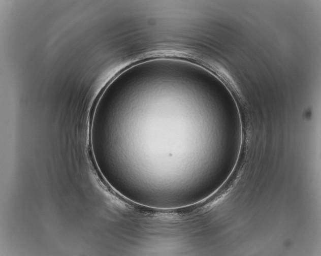 X0000090610844200707241105