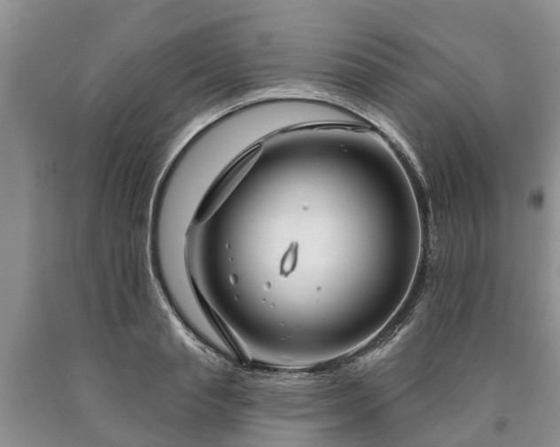 X0000090610845200707241105