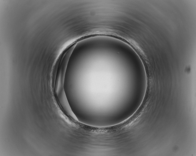 X0000090610846200707241105