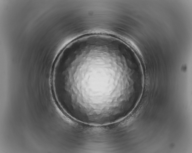 X0000090610847200707241105