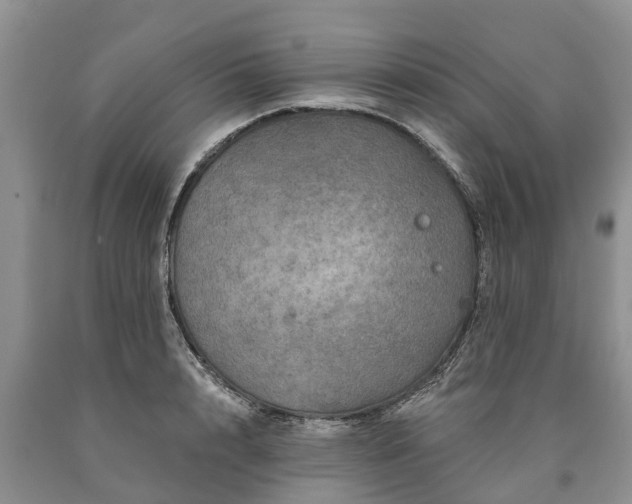 X0000090610848200707241105