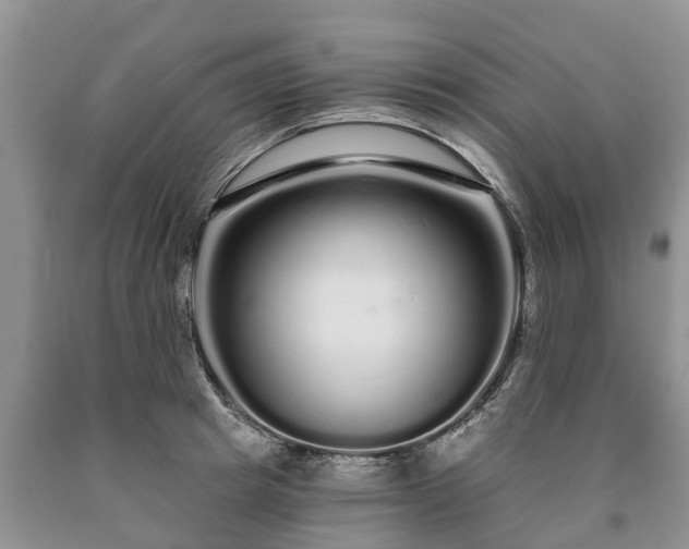 X0000090610849200707241105