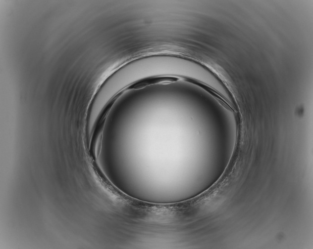 X0000090610850200707241105