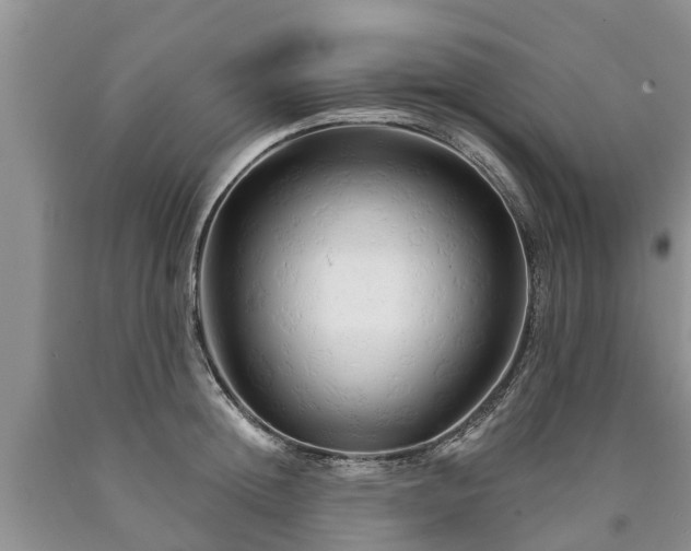 X0000090610852200707241105