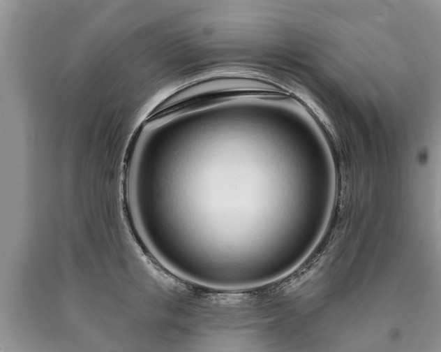 X0000090610853200707241105