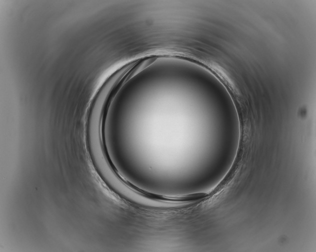 X0000090610854200707241105