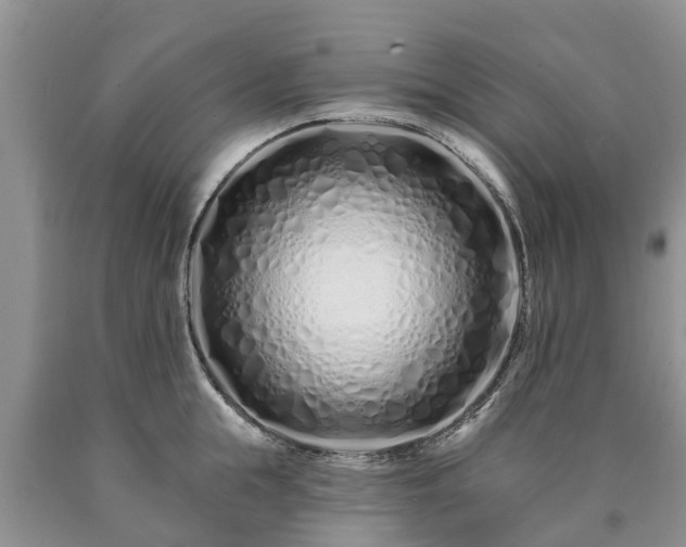 X0000090610855200707241105