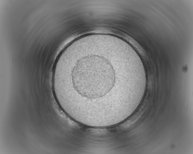 X0000090610856200707241105