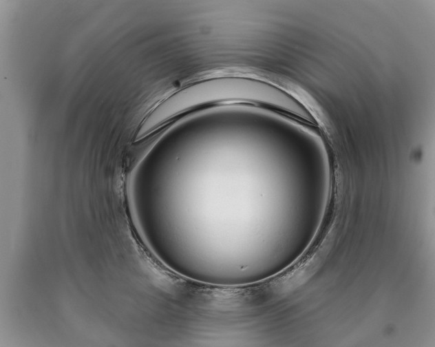 X0000090610857200707241105