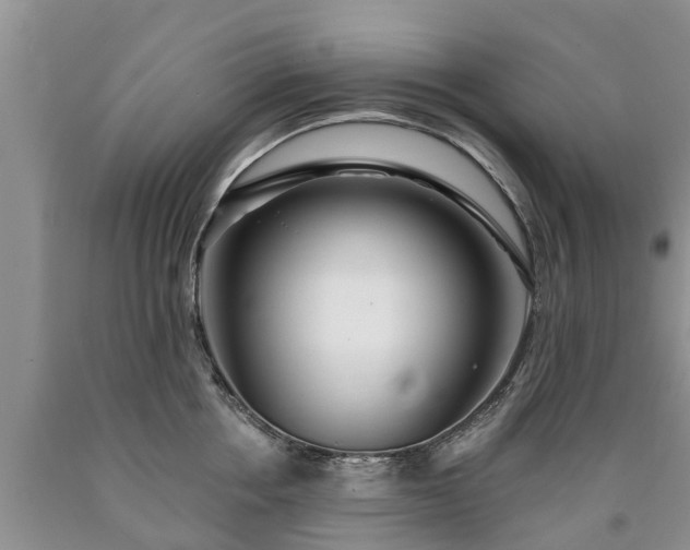 X0000090610858200707241105