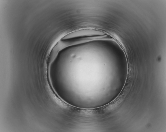 X0000090610859200707241105