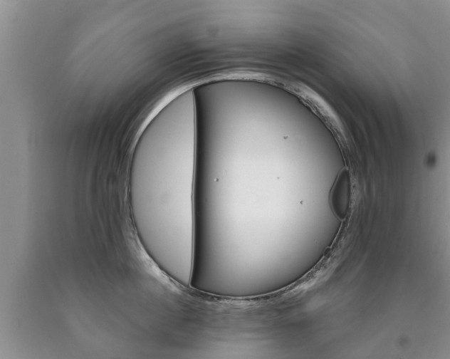 X0000090610860200707241105