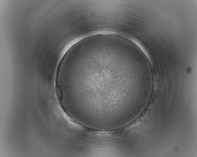 X0000090610861200707241105