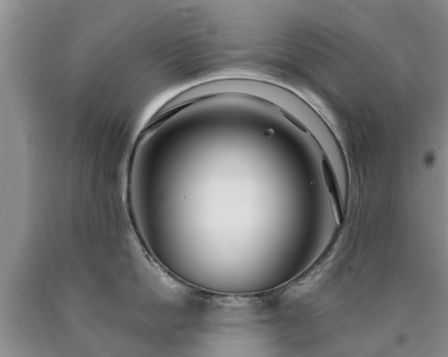 X0000090610862200707241105